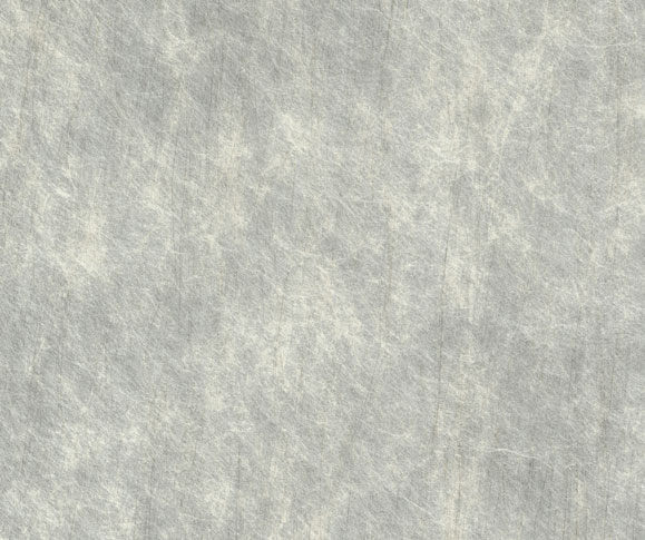 Ebee ka uru ihe nkiri PP dị?